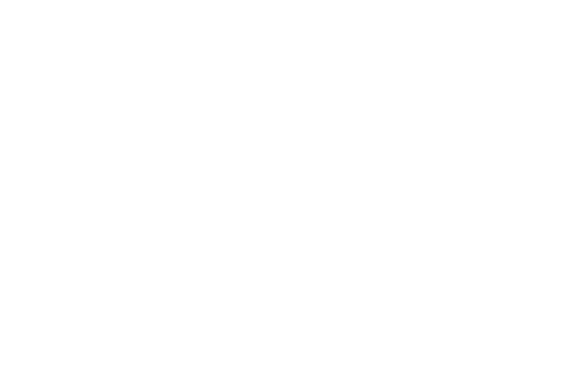 Night Wolves Studio